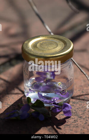 Spring, still life, violet, laburnum,  cake, pear tatin Budapest March 17, 2019 Stock Photo