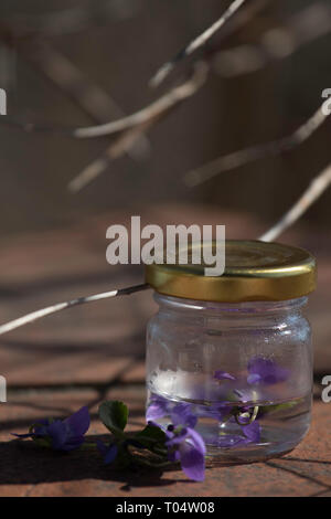 Spring, still life, violet, laburnum,  cake, pear tatin Budapest March 17, 2019 Stock Photo