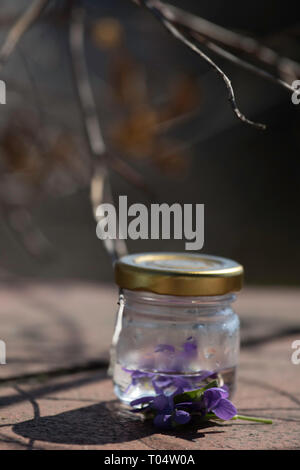 Spring, still life, violet, laburnum,  cake, pear tatin Budapest March 17, 2019 Stock Photo