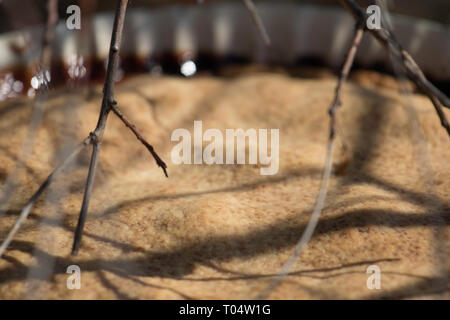 Spring, still life, violet, laburnum,  cake, pear tatin Budapest March 17, 2019 Stock Photo