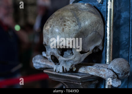 Real human skull damaged in battle on a display Stock Photo