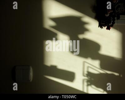 Still life (Light and shadows). Stock Photo
