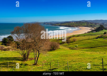 Meadow of fresh green grass. Oyambre beach, Comillas. Cantabrian Sea. Cantabria Spain. Europe