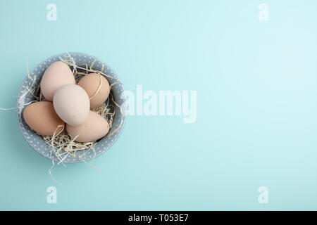 Guinea fowl eggs on duck egg blue background Stock Photo