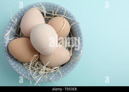 Guinea fowl eggs on duck egg blue background Stock Photo