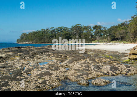 The marine beach at Huskisson, Jervis Bay, New South Wales, Australia Stock Photo