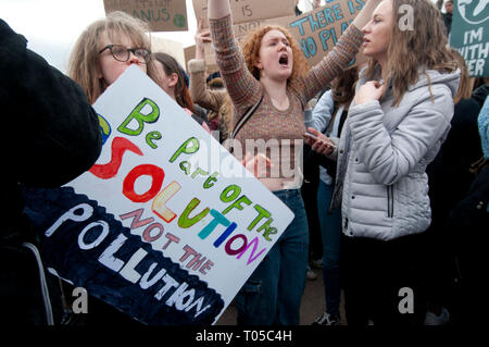 London. School students strike for climate change , part of a global action. A protester holds a placard saying 'Be part of the solution, not the poll Stock Photo