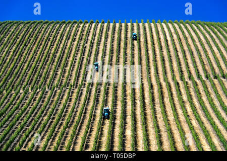 Mechanized fieldwork with tractor in Vineyard with vertical vine rows, Vinha ao alto technique, Sao Joao de Pesqueira, Douro Valley, Portugal Stock Photo