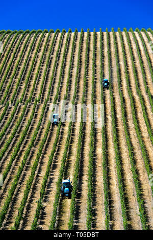 Mechanized fieldwork with tractor in Vineyard with vertical vine rows, Vinha ao alto technique, Sao Joao de Pesqueira, Douro Valley, Portugal Stock Photo