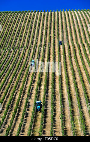 Mechanized fieldwork with tractor in Vineyard with vertical vine rows, Vinha ao alto technique, Sao Joao de Pesqueira, Douro Valley, Portugal Stock Photo