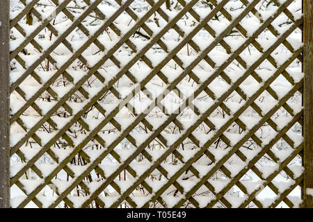 wooden lattice made of larch planks after snowfall Stock Photo