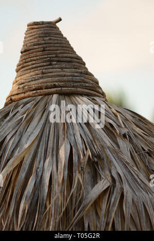 Palm thatched beach umbrella Stock Photo