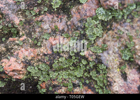 granite stone texture background selective focus Stock Photo