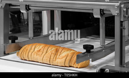 https://l450v.alamy.com/450v/t05hkh/sliced-white-bread-in-a-cutting-machine-t05hkh.jpg