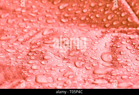 Large drops of water on textiles with a waterproof effect Stock Photo