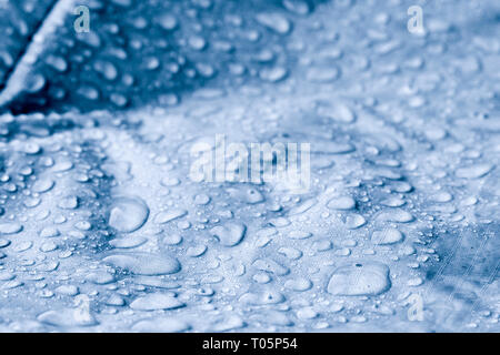 Large drops of water on textiles with a waterproof effect Stock Photo
