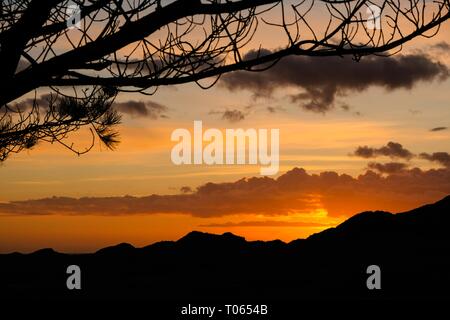 Gower Peninsula, UK. 17th Mar, 2019. UK Weather, Swansea, 17th March, 2019.  Squally showers punctuated warm sunny spells in an otherwise cold breeze at Broughton on the Gower peninsula, near Swansea. Generally warmer and drier conditions are forecast for the week ahead.  Credit: Gareth Llewelyn/Alamy Live News. Credit: Gareth LLewelyn/Alamy Live News Stock Photo