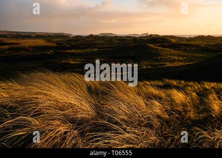 Gower Peninsula, UK. 17th Mar, 2019. UK Weather, Swansea, 17th March, 2019.  Squally showers punctuated warm sunny spells in an otherwise cold breeze at Broughton on the Gower peninsula, near Swansea. Generally warmer and drier conditions are forecast for the week ahead.  Credit: Gareth Llewelyn/Alamy Live News. Credit: Gareth LLewelyn/Alamy Live News Stock Photo