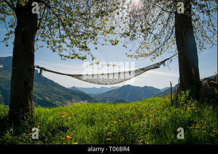 relax in comfortable hammock suspended between the trees Stock Photo