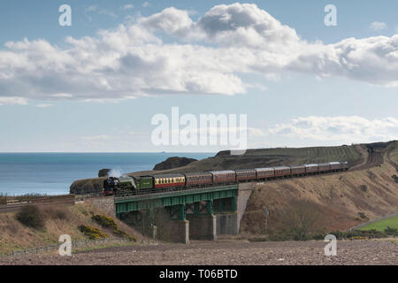 The Aberdonian, a Steam Railtour From Edinburgh to Aberdeen, Crossing the Viaduct at Muchalls Mill on Its Inaugural Run on 14th March 2019 Stock Photo