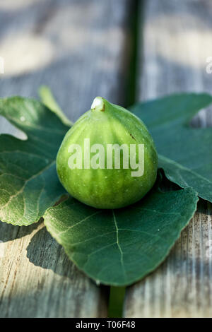 A single fig sitting on a fig leaf on top of a wooden bench in dappled sunshine. Stock Photo