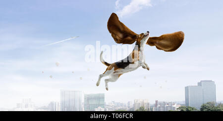 fly in Stock Photo - Alamy