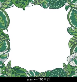 Rectangular vector border with tropical plant leaves like Prayer Plant, Monstera and Pothos Stock Vector