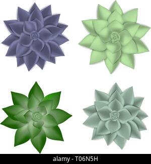 Succulent icons set, realistic style Stock Vector