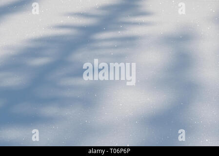 Diagonal tree shadows on fresh, glistening snow Stock Photo