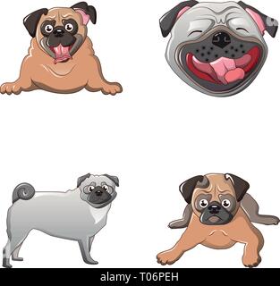 Puggle Pedigree Dog Breed Head Isolated Pet Portrait Smiling Happy ...