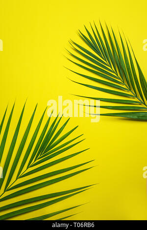 Tropical green palm leaves on yellow background. Stock Photo