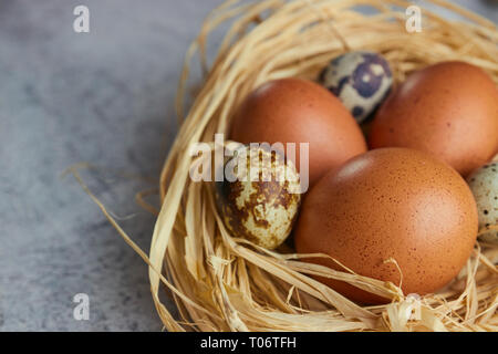 Brown chicken eggs with quail eggs in hay nest on concrete. closeup of a farm of eggs. horizontal view of raw chicken eggs. The concept of the village Stock Photo