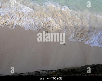 Small foaming waves gently pulling back to the ocean against the soft white sand of a tropical beach Stock Photo