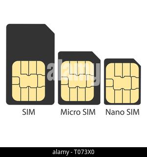 Different types of SIM card. Vector illustration, flat design. Stock Vector