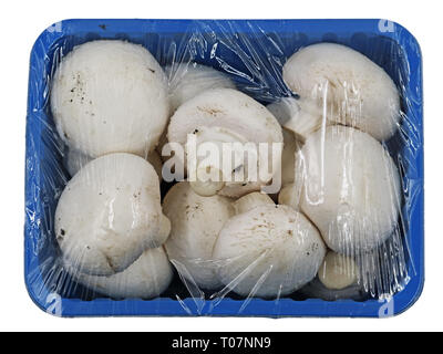 White mushrooms wrapped with foil in a blue bowl, top view Stock Photo