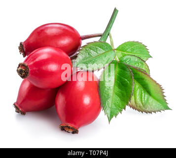 Rose-hips with rose leaves isolated on a white background. Stock Photo