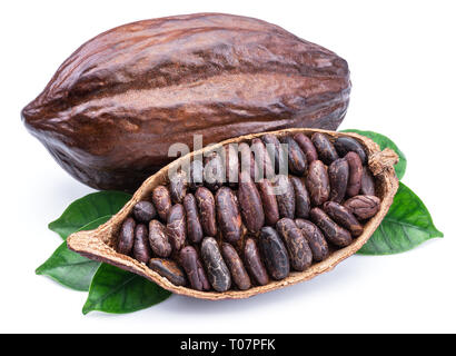 Cocoa pods and cocoa beans -chocolate basis isolated on a white background. Stock Photo