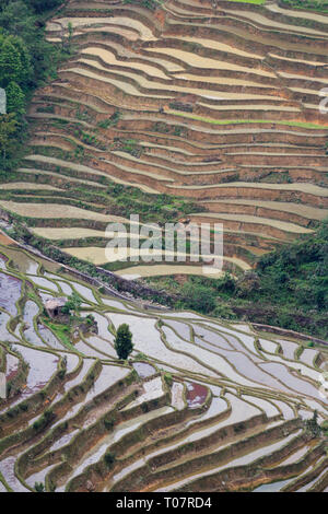 Bana scenic spot in Yuanyang rice terraces in Yunnan province Stock Photo