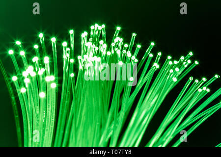 Bundle of optical fibers with green light. Black background. Stock Photo