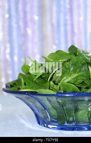 Spinach Leaves. Fresh Baby Spinach Leaves in a Salad Bowl Stock Photo