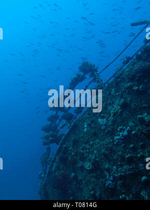 Reling, Wrack Giannis D., Rotes Meer, Aegypten Stock Photo