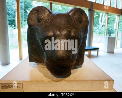 Granite head of the Egyptian goddess Sekhmet, The Burrell Collection Art Gallery, Glasgow Stock Photo