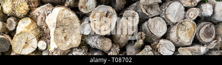 Large pile of logs - background texture image Stock Photo