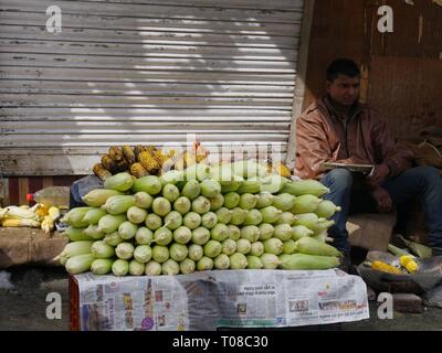 MANALI, HIMACHAL PRADESH, INDIA—MARCH 2018:  A man sits beside a pile of raw and grilled corn on the cob for sale by the sidewalk in Manali. Stock Photo