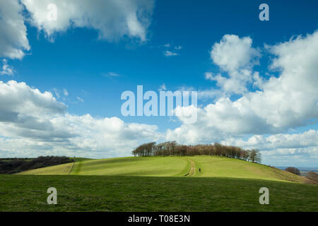 Early spring at Chanctonbury Ring in South Downs National Park, West Sussex, England. Stock Photo