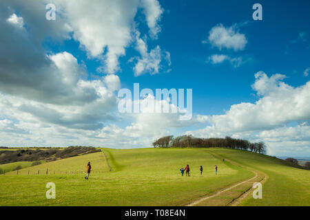 Early spring at Chanctonbury Ring in West Sussex, England. South Downs National Park. Stock Photo