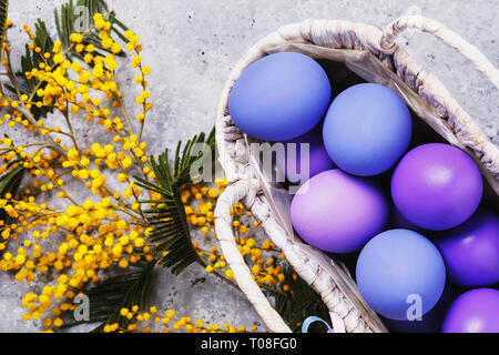 Easter eggs in a basket painted in different colors with a branch of mimosa on the table, top view Stock Photo