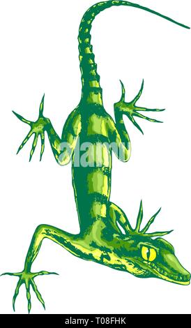 Lizard with long claws Stock Vector