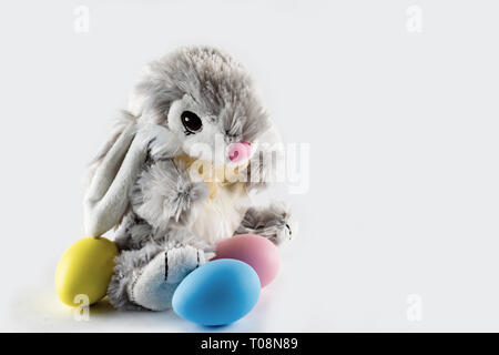 Soft stuffed toy Easter bunny with colorful dyed eggs on white background.  Copy space. Stock Photo