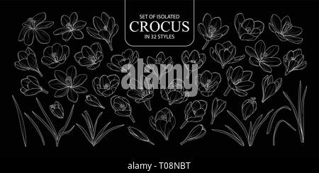 Set of isolated Crocus in 32 styles. Cute hand drawn flower vector illustration only white outline on black background. Stock Vector